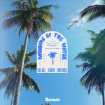 Chill Gull - Washing of The Water Chill Gull - Washing of The Water