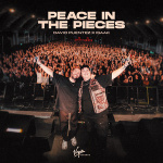 David Puentez - Peace in The Pieces