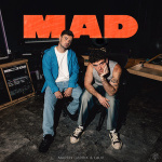 Martin Garrix - Mad