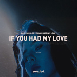 Paul Schulze - If You Had My Love