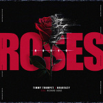 Timmy Trumpet - Roses