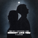 Robby Wow - Nobody Like You