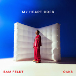 Sam Feldt - My Heart Goes