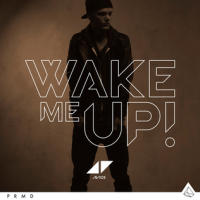 Wake Me Up chega a 3 bilh&otilde;es de streams e mostra que Avicii virou eterno